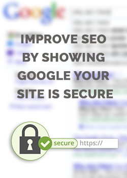 SSL Improve in search